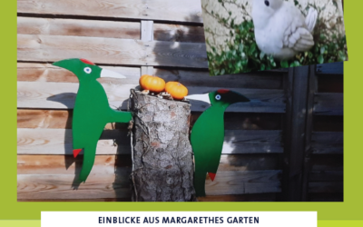 Quartierszeitung “Der Kuckuck” 8/2023