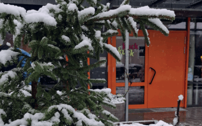 Quartierszeitung “Der Kuckuck” 11/2025