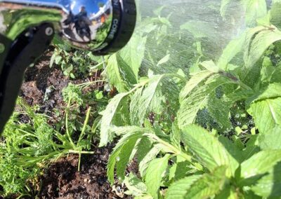 Hochbeet gießen im KuckuckGarten